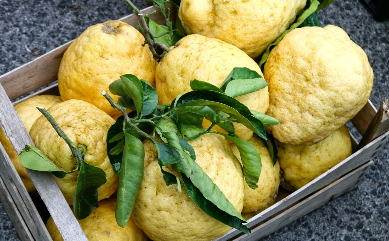 Çeşme limonu